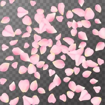 Abstract romanic background with flying Pink rose, cherry or sakura petals Stock Illustration