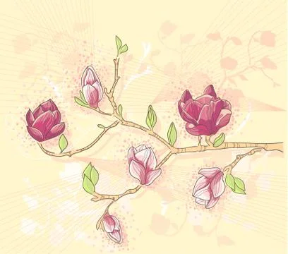 Abstract romantic flower vector background with magnolia branch Stock Illustration