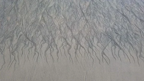 Abstract root pattern by the beach Stock Footage 206373814