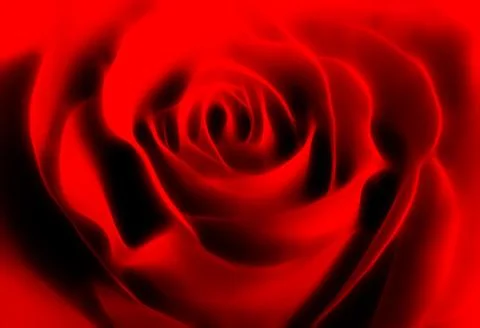 Abstract rose background Stock Photos