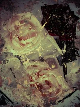 Abstract rose background Stock Photos