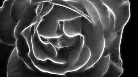 Abstract rose Video stock 10740241