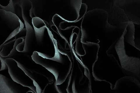 Abstract rose paper folded background Photos