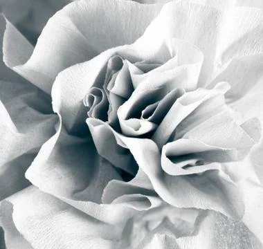 Abstract rose paper folded background Stock Photos