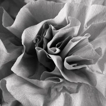 Abstract rose paper folded background Photos