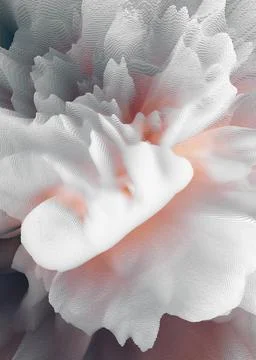 Abstract rose Stock Photos