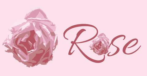Abstract rose vector pink rose pattern drawing vectors Illustrazione stock
