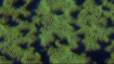 Abstract rotating animated retro style landscape in vibrant hypnotic colors w Stock Footage 260628838