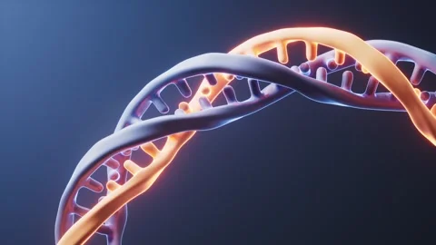 Abstract rotating DNA double helix molecule 3D animation on dark blue backg.. 스톡 동영상 327516822