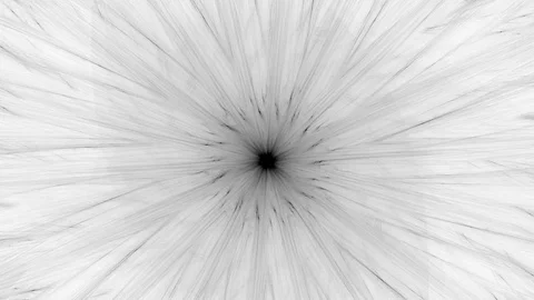 Abstract rotating hypnotic gray rays Stock Footage 81240581
