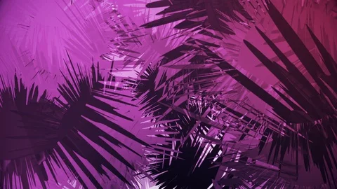 Abstract Rotating Palm Leaves - Looping 4K Stock Footage 113518624