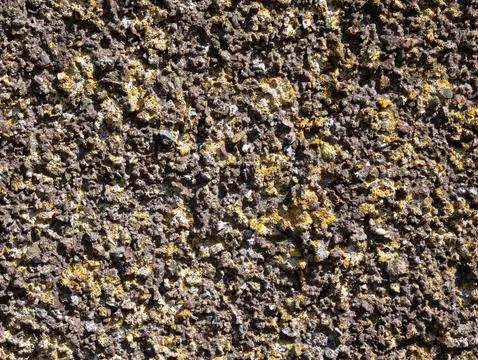 Abstract rough stone wall texture with lichen Stock Photos