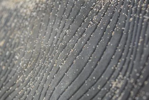 Abstract rubber texture with grains of sand Stock Photos