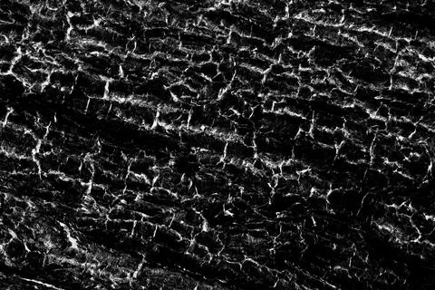 Abstract rugged dark texture and pattern background of old tree bark Stock Photos