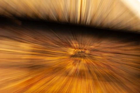 An abstract rush of golden light in dramatic motion. Stock Photos