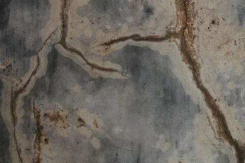 Abstract rush texture on the cement wall 写真素材