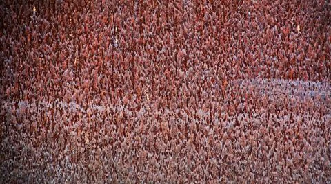 Abstract Rust on Metal Stock Photos