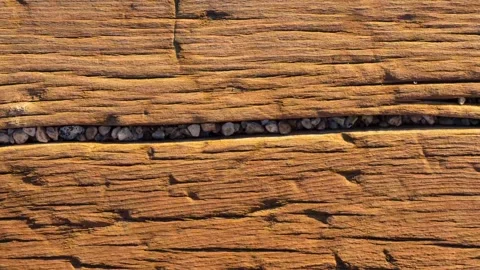 Abstract rustic wood texture background in 4k ultra hd resolution Stockbeeldmateriaal 345960913