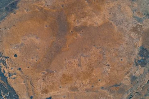 Abstract rusty ground texture with dry reeds, oval wetland island pattern 写真素材