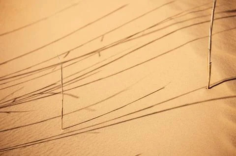 Abstract sand background with sunlight Stock Photos
