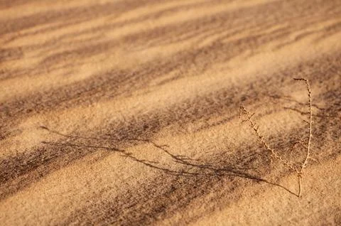 Abstract sand background with sunlight Stock Photos