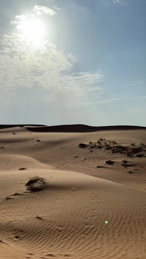 Abstract Sand Dune Ripple Texture in Wahiba Sands Oman Stock Footage 335946259