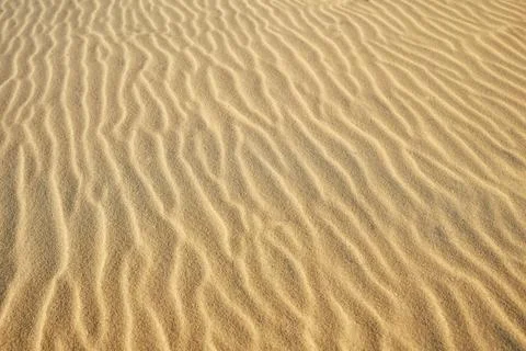 Abstract sand texture background with wave lines for template or backdrop Stock Photos