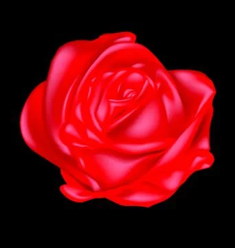 Abstract scarlet rose Stock Illustration