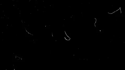 Abstract Scattered White Lines on a Solid Black Surface with Dust Particles Stock Footage 341371502