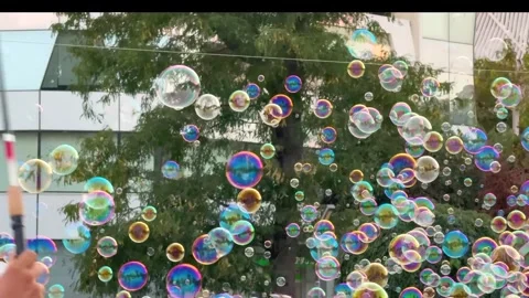 Abstract scene of bubbles floating freely close up. Colorful soap bubbles 库存影片 316235824