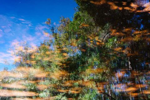 Abstract scene of tree and sky reflecting on water surface. Stock Photos