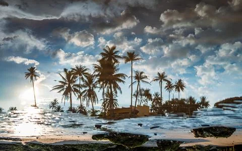 Abstract scene of upside down coconut trees with resort on rock beach refle.. Foto stock