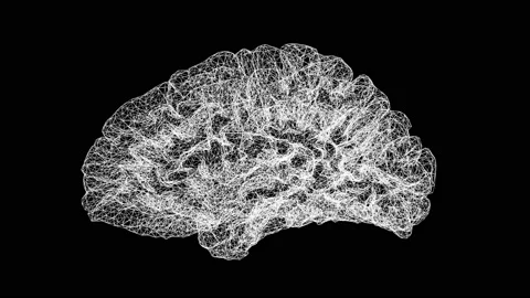 Abstract Science 3d Digital Brain Wirferame Textured Loop Stock Footage 146792485