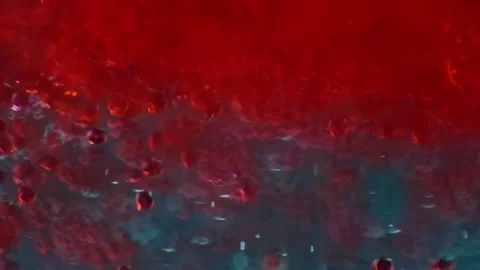 Abstract science background with red particles flowing into fluid Video stock 101484612