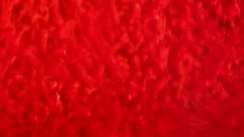 Abstract science background with red particles flowing into fluid Stock-Footage 101745380
