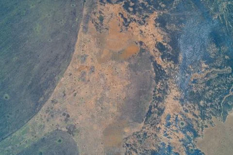 Abstract scorched earth pattern with dark soot and yellow dry vegetation Stock Photos