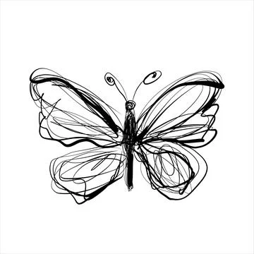 Abstract Scribble Butterfly Vector Illustration, Flying Insect Line Art Sketch Stock Illustration