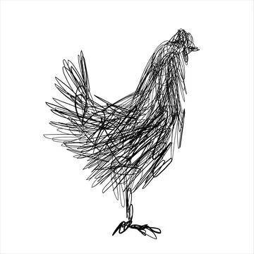 Abstract Scribble Chicken Vector Illustration, Standing Hen Line Art Sketch Stock Illustration