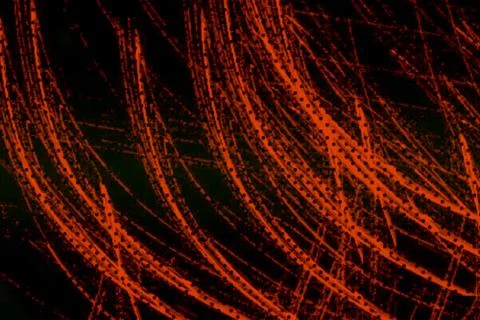 Abstract scribble grunge background texture with patterns Stock Photos