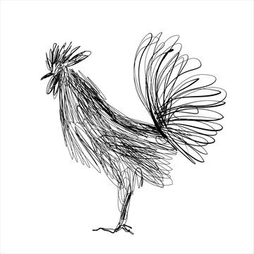 Abstract Scribble Rooster Vector Illustration, Standing Cockerel Line Art Sketc Stock Illustration