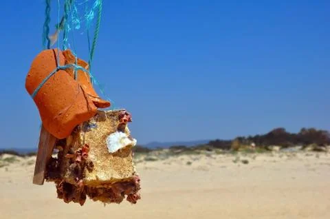 Abstract sculpture of stone, crocks and seashells in ocean shore Stock Photos
