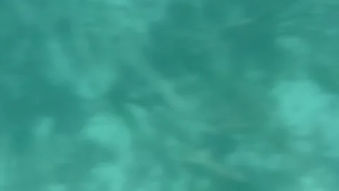 Abstract Sea Background Video stock 311353786