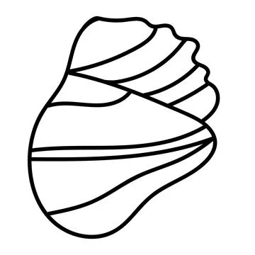 Abstract sea shell drawing with fine, modern lines. Stock Illustration