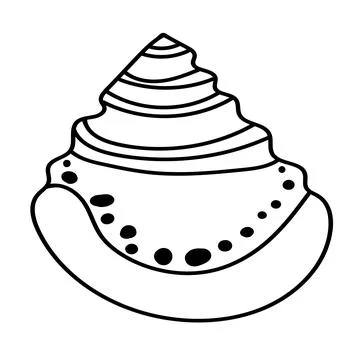 Abstract sea shell drawing with fine, modern lines. Stock Illustration