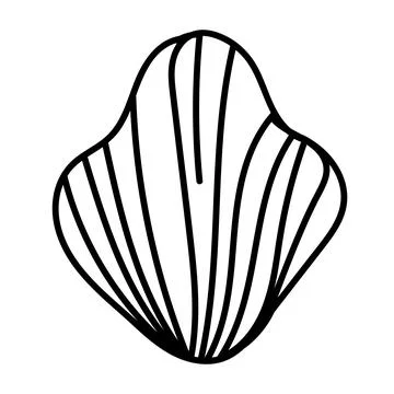 Abstract sea shell drawing with fine, modern lines. Stock Illustration