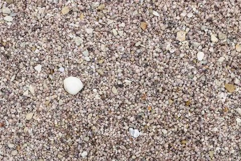 Abstract sea-shell texture background, texture for design. Foto stock