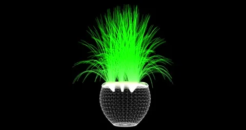 Abstract seamless animation with a rotating model of a potted plant4 Stock Footage 328652394
