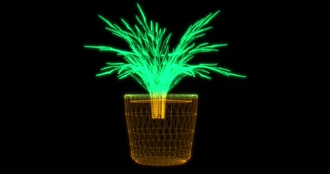 Abstract seamless animation with a rotating model of a potted plant3 Stock Footage 328652409