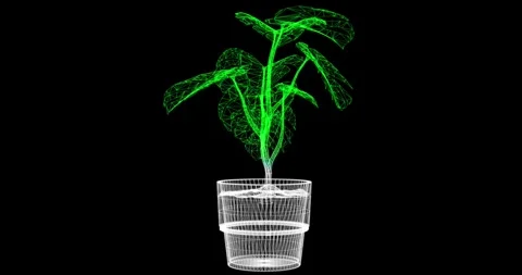 Abstract seamless animation with a rotating model of a potted plant5 Stock Footage 328652426