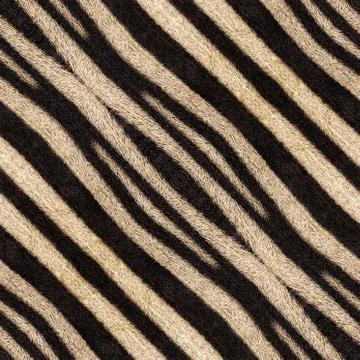 Abstract seamless background or texture of zebra stripes. Illustrazione stock